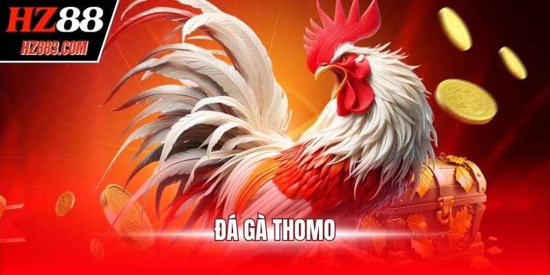 Đá gà Thomo